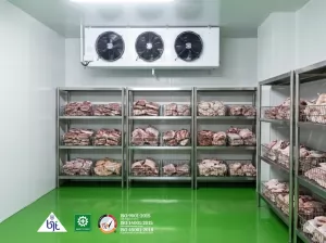 Perusahaan Kontraktor Cold Room di Indonesia: Solusi Terbaik untuk Kebutuhan Penyimpanan Dingin